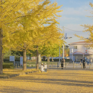 久久精品中文字幕第一页
