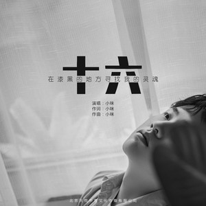 久久精品中文字幕第一页
