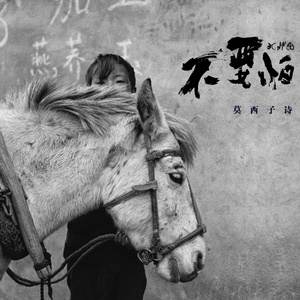 久久精品中文字幕第一页
